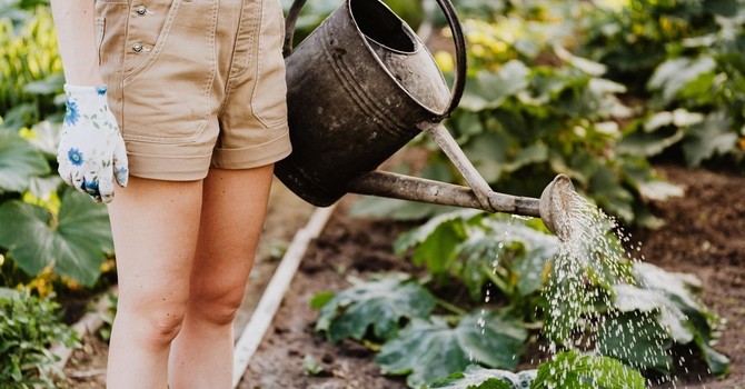 How to Maintain Your Outdoor Space Without Straining Your Body